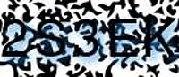 grafischer Sicherheitscode