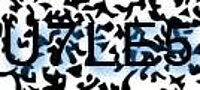 grafischer Sicherheitscode