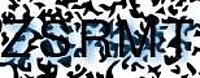 grafischer Sicherheitscode