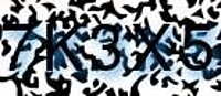 grafischer Sicherheitscode