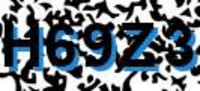 grafischer Sicherheitscode