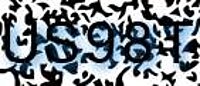 grafischer Sicherheitscode