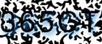 grafischer Sicherheitscode